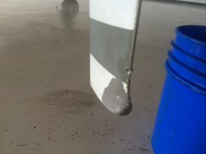 IMG_3963