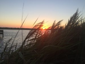 IMG_3991